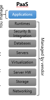 PaaS model